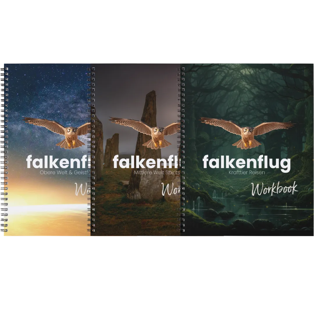 Drei gedruckte falkenflug Workbooks mit Spiralbindung